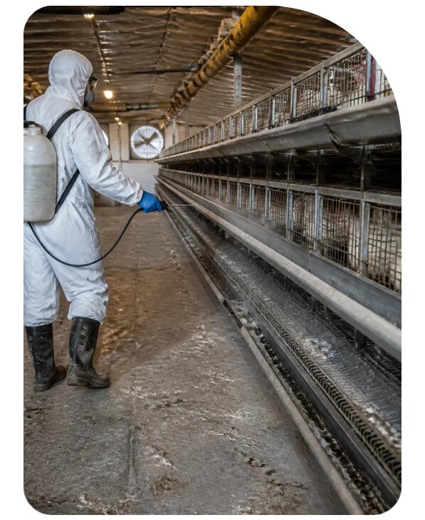 Дезинсекция птицефабрики в Сарапуле по цене от 15486 р. | Сенат-Срл